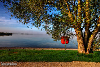 Morgenstimmung am Altmühlsee