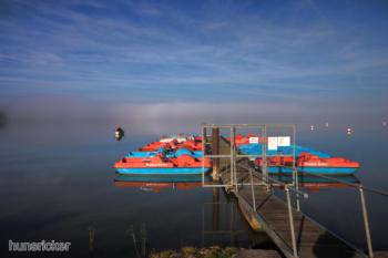 Morgenstimmung am Altmühlsee