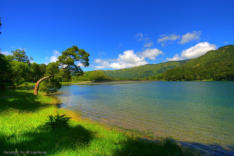 Lagoa Verde bei Sete Cidades